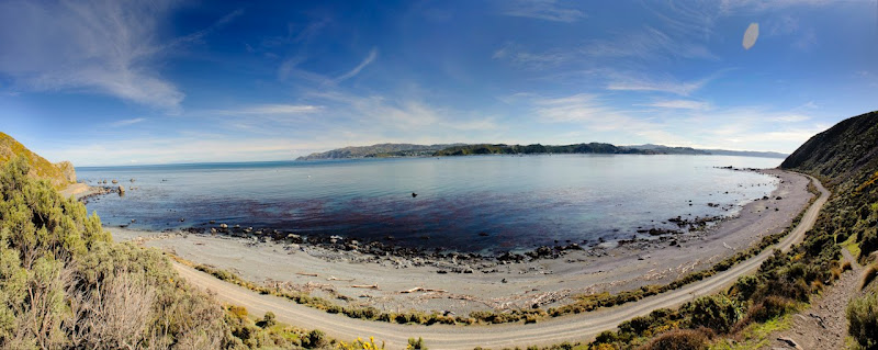 Pencarrow Trip