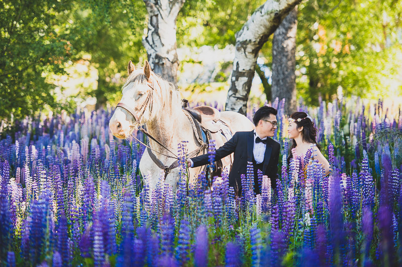 South Island Pre-Wedding