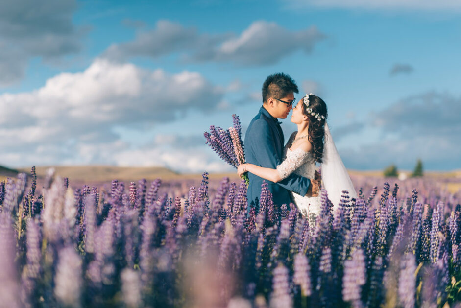 New Zealand Wellington Pre-Wedding